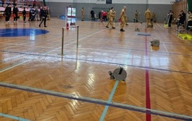 abe38c04-379d-40de-8adb-c3061fff558b