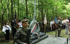IMG_8354