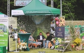 IMGL7710