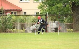 IMG_1513