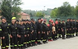IMG_1194