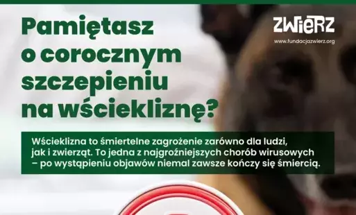 Zdjęcie do Wścieklizna - śmiertelne zagrożenie dla ludzi i zwierząt.
