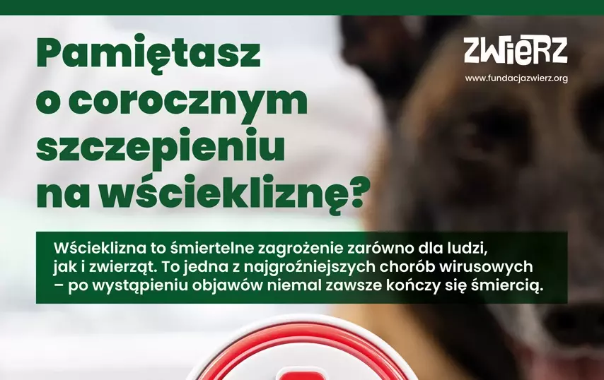 Wścieklizna - śmiertelne zagrożenie dla ludzi i zwierząt.