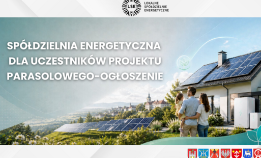 Zdjęcie do Zaproszenie do udziału w webinarze &ndash; Sp&oacute;łdzielnia Energetyczna