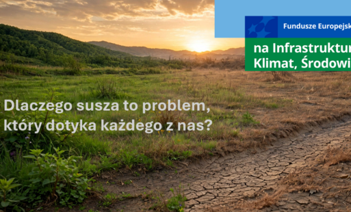 Zdjęcie do Dlaczego susza to problem, kt&oacute;ry dotyka każdego z nas? Program MIKRORETENCJA